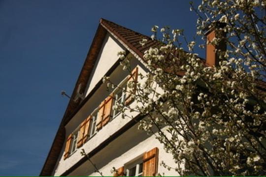 Haus Oyben Apartment Bad Hindelang Exterior photo